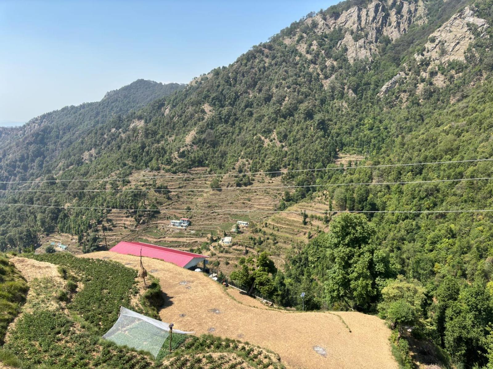 The Groove Garden Dhanolti Dhanaulti Exterior photo